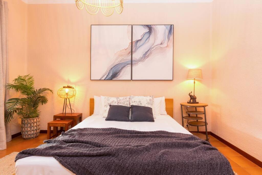 Canela Homes Industria Apartment